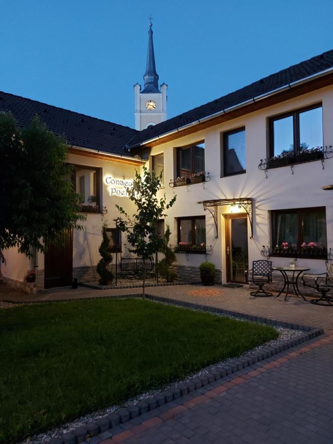 Hotel Conacul Poetilor Gura Rîului Exterior foto