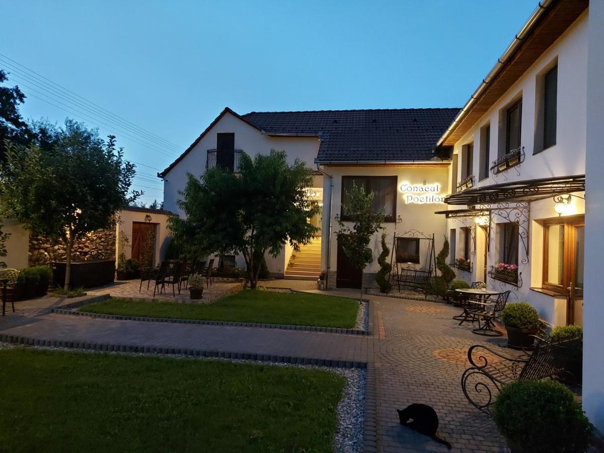 Hotel Conacul Poetilor Gura Rîului Exterior foto
