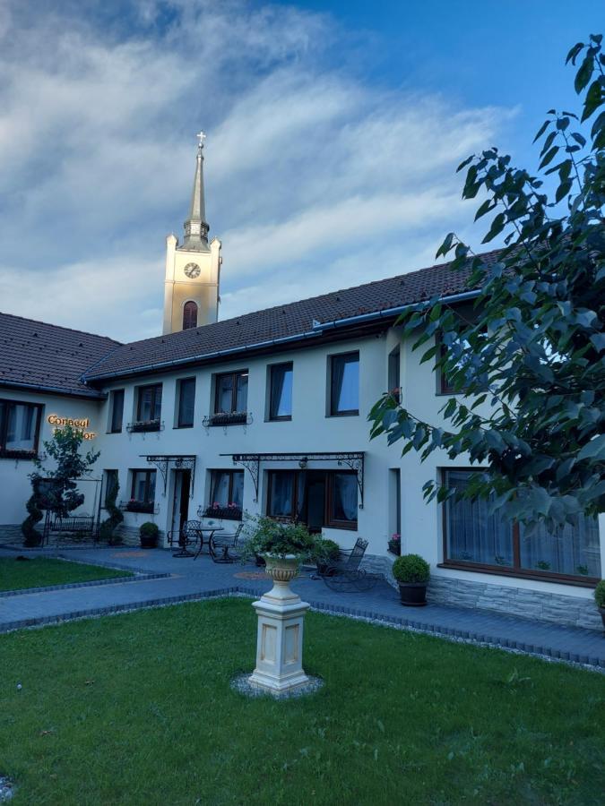 Hotel Conacul Poetilor Gura Rîului Exterior foto